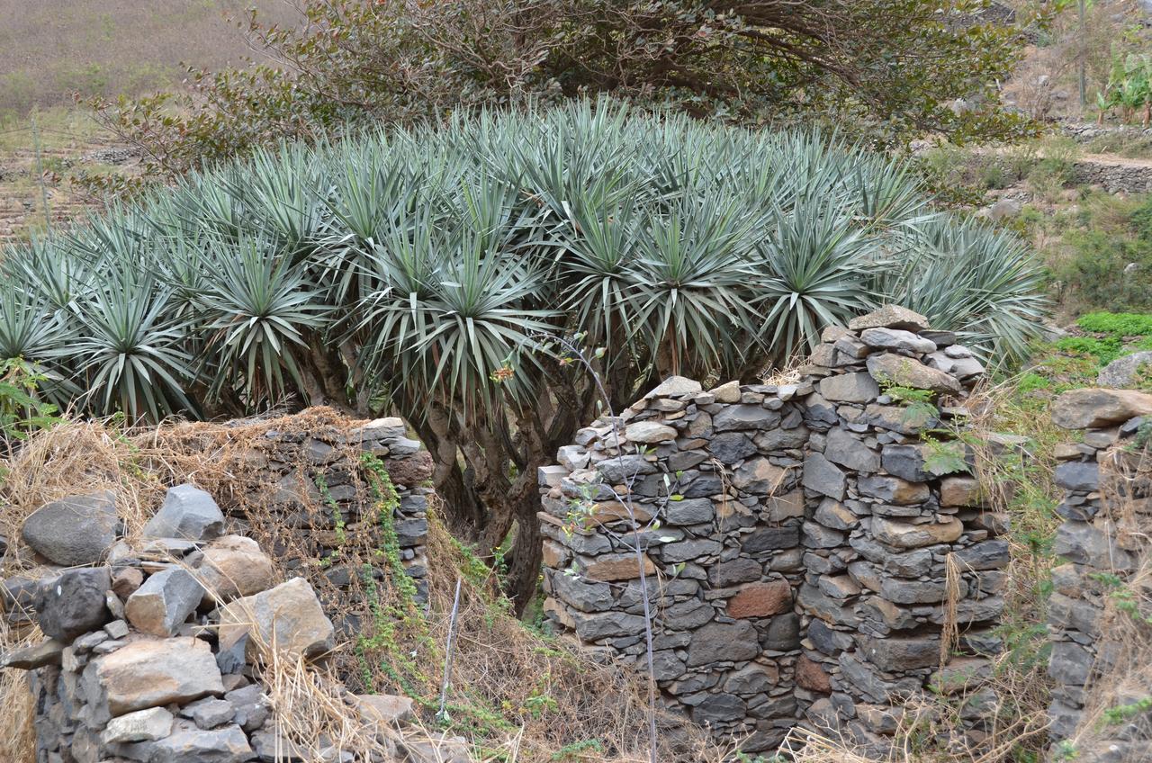 Casa Patio Bed & Breakfast Tarrafal  Bagian luar foto